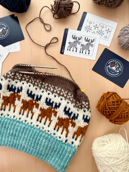 Pacific Knit Co. Alaska Doodle Card Deck (Foil Pack)