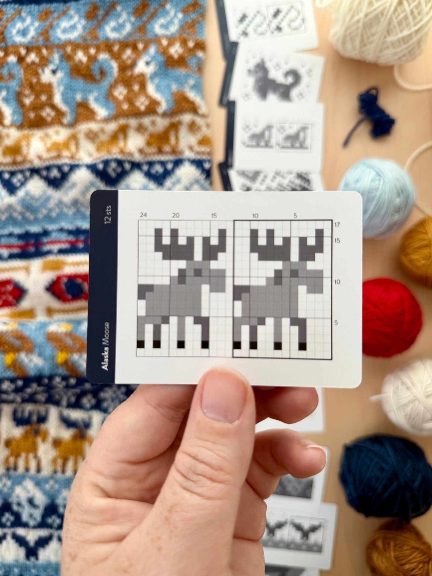 Pacific Knit Co. Alaska Doodle Card Deck (Foil Pack)