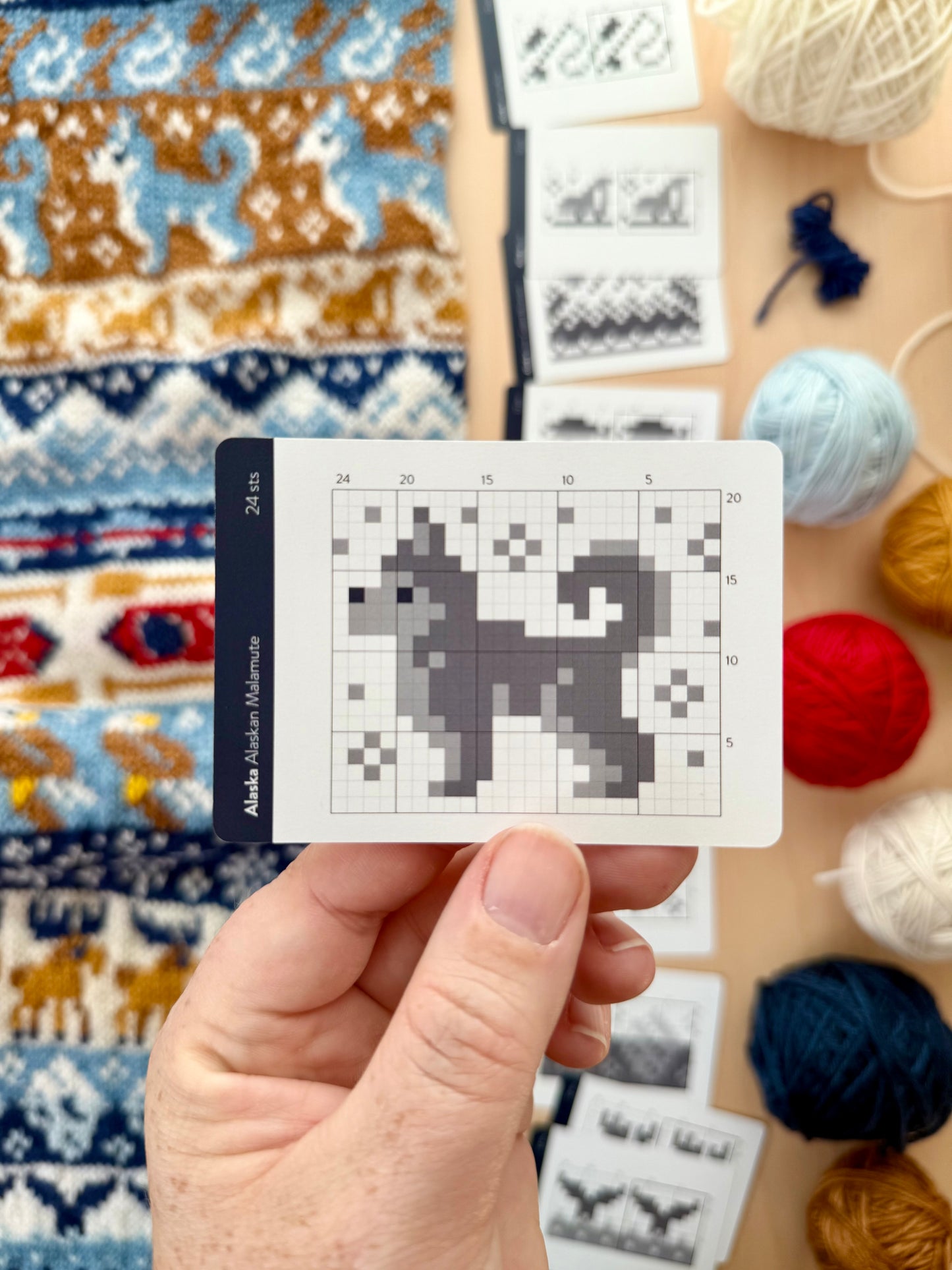 Pacific Knit Co. Alaska Doodle Card Deck (Foil Pack)